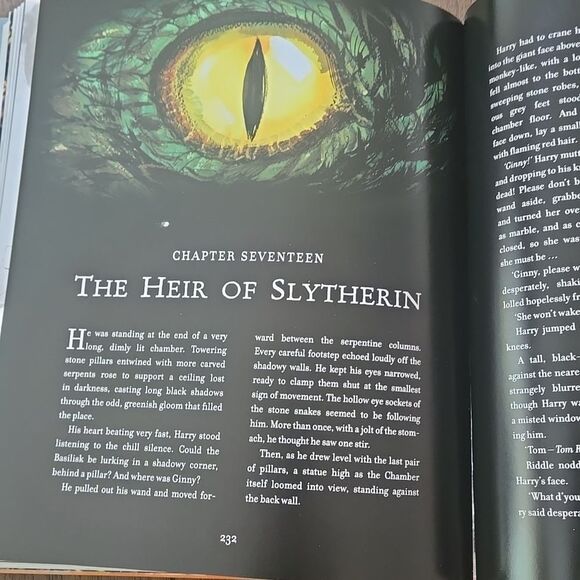 Harry Potter and the Chamber of Secrets Illustrated Edition - Picture 13 of 14